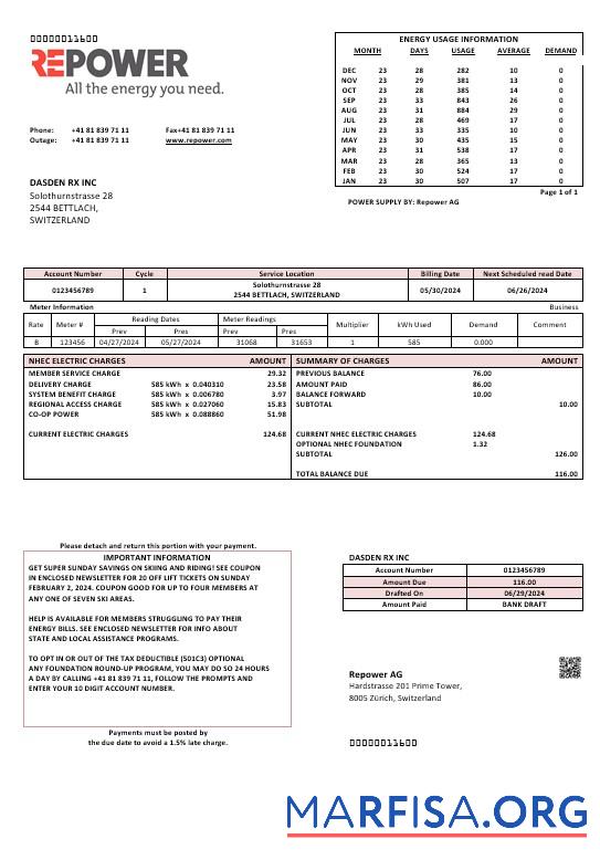 Printable Switzerland Repower AG business utility bill template, fully editable in Word and PDF formats